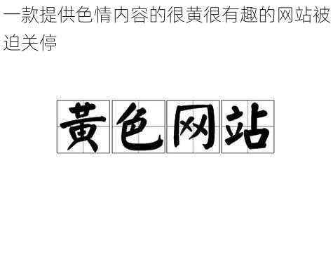 一款提供色情内容的很黄很有趣的网站被迫关停