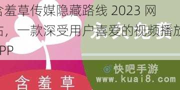 含羞草传媒隐藏路线 2023 网站，一款深受用户喜爱的视频播放 APP