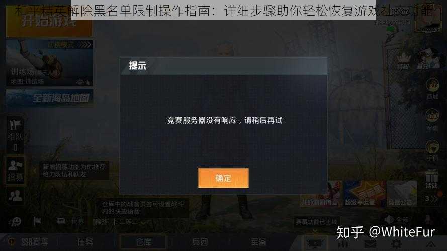和平精英解除黑名单限制操作指南：详细步骤助你轻松恢复游戏社交功能