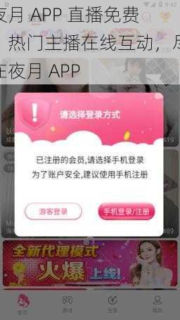 夜月 APP 直播免费，热门主播在线互动，尽在夜月 APP