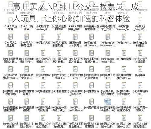 高 H 黄暴 NP 辣 H 公交车检票员：成人玩具，让你心跳加速的私密体验