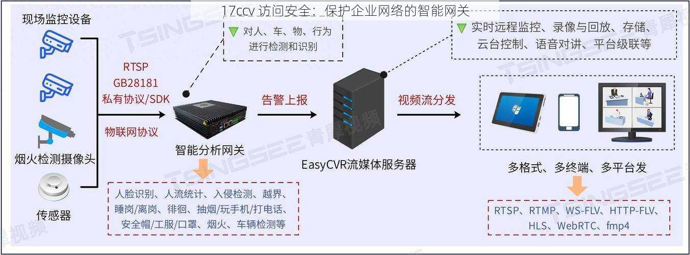 17ccv 访问安全：保护企业网络的智能网关