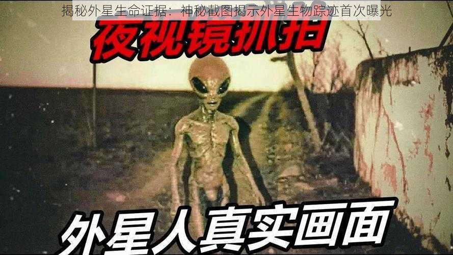 揭秘外星生命证据：神秘截图揭示外星生物踪迹首次曝光