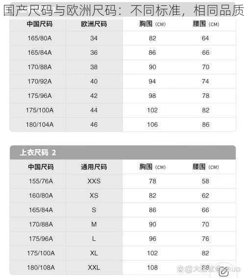 国产尺码与欧洲尺码：不同标准，相同品质