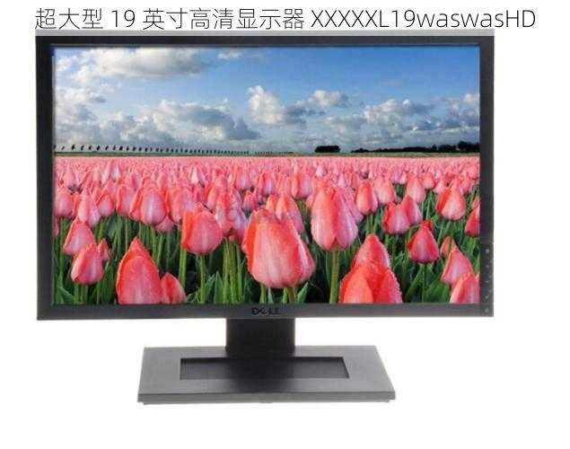 超大型 19 英寸高清显示器 XXXXXL19waswasHD