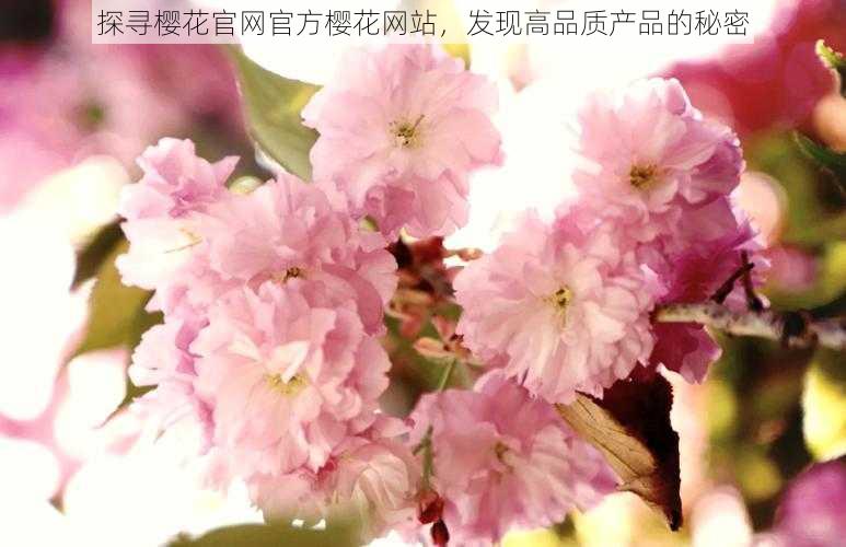 探寻樱花官网官方樱花网站，发现高品质产品的秘密