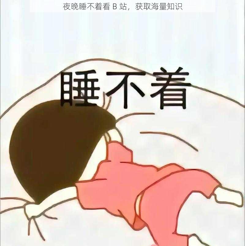 夜晚睡不着看 B 站，获取海量知识