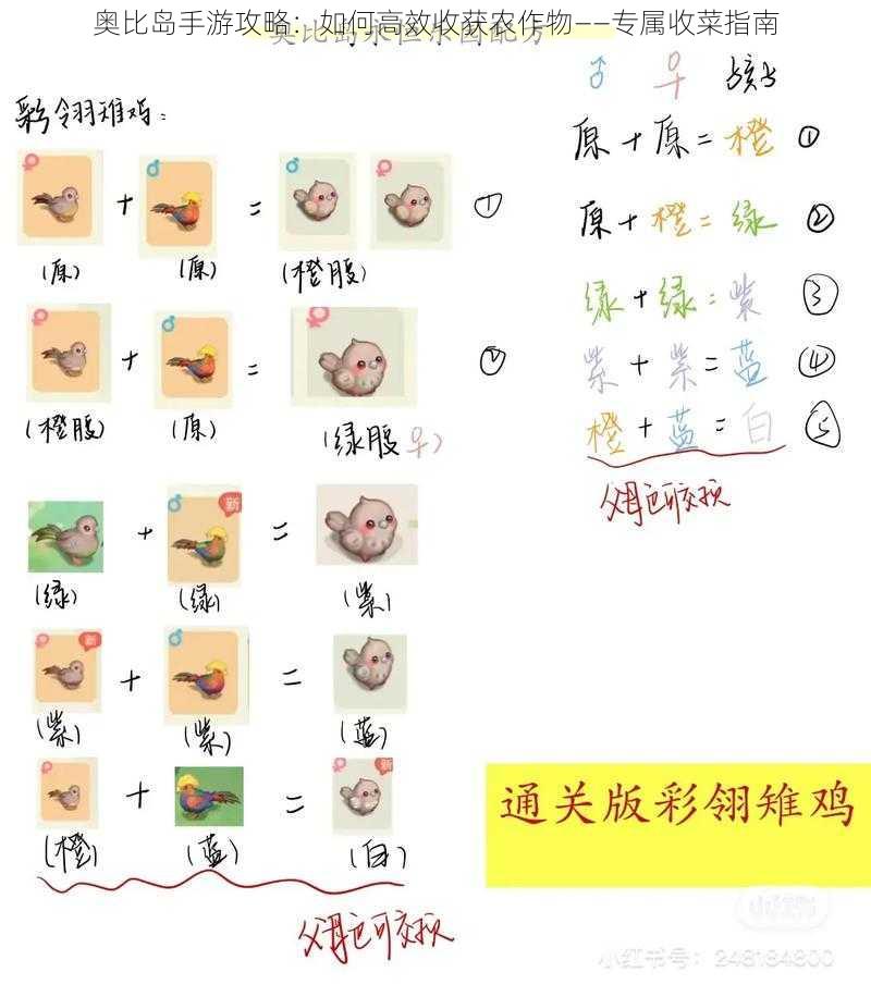 奥比岛手游攻略：如何高效收获农作物——专属收菜指南