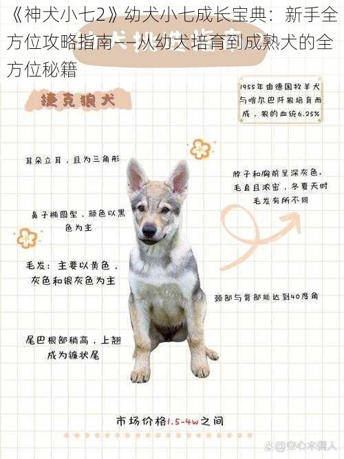 《神犬小七2》幼犬小七成长宝典：新手全方位攻略指南——从幼犬培育到成熟犬的全方位秘籍