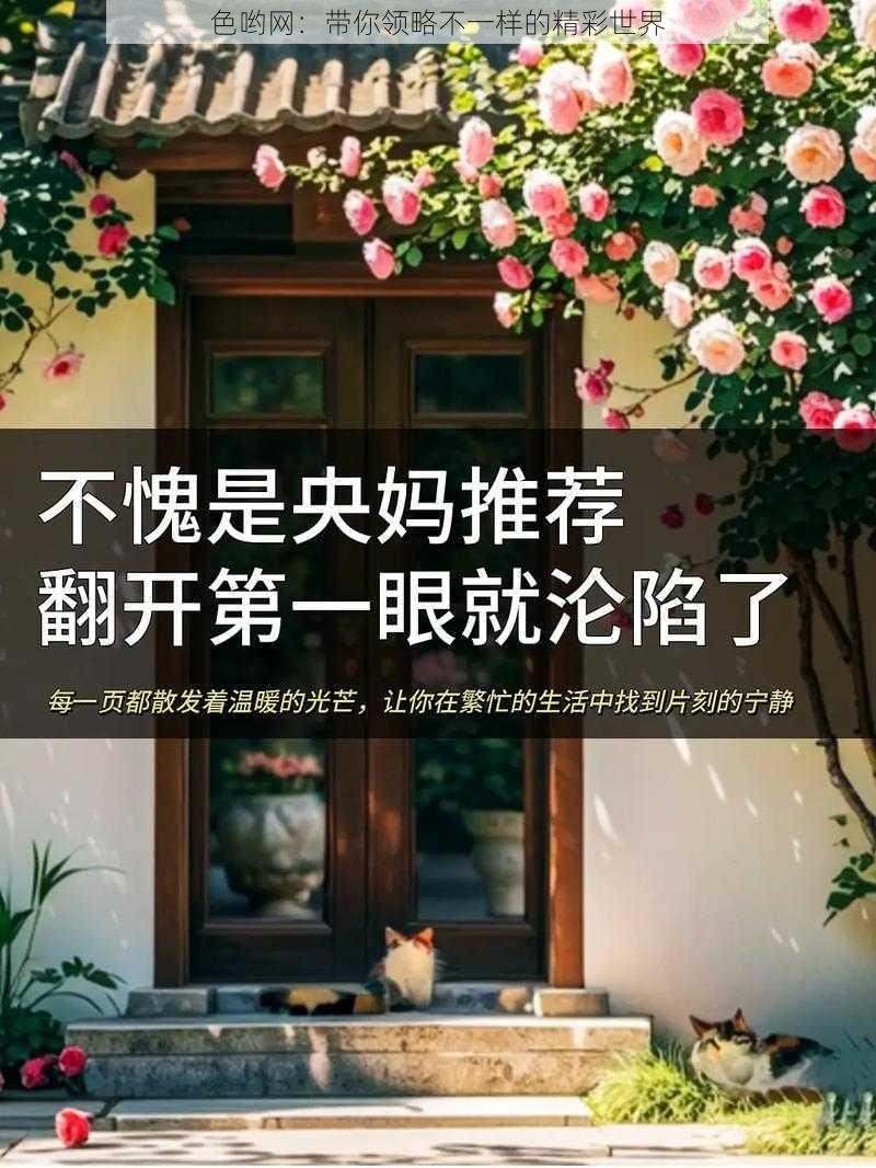 色哟网：带你领略不一样的精彩世界