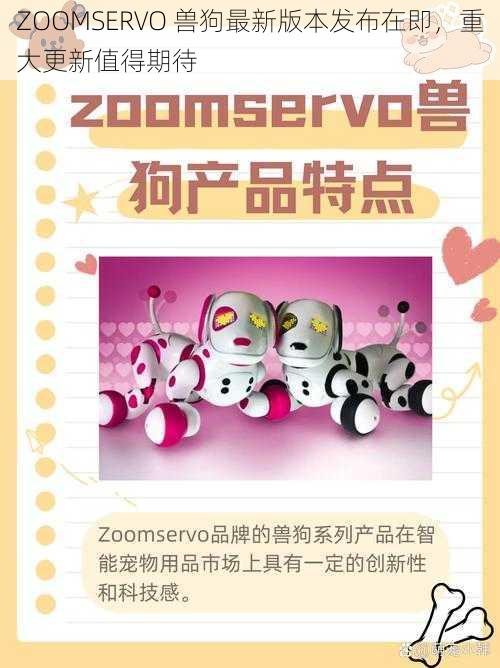 ZOOMSERVO 兽狗最新版本发布在即，重大更新值得期待