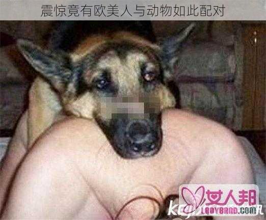 震惊竟有欧美人与动物如此配对