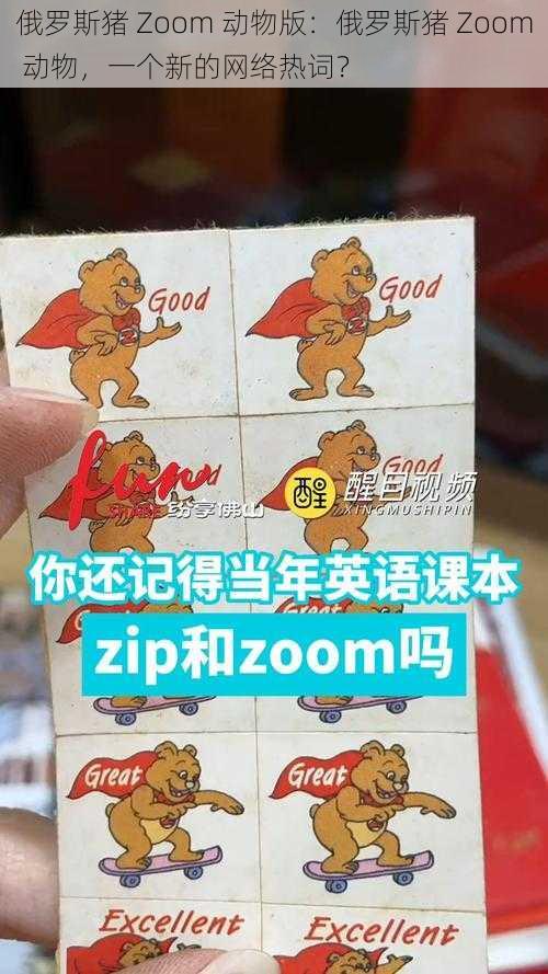 俄罗斯猪 Zoom 动物版：俄罗斯猪 Zoom 动物，一个新的网络热词？