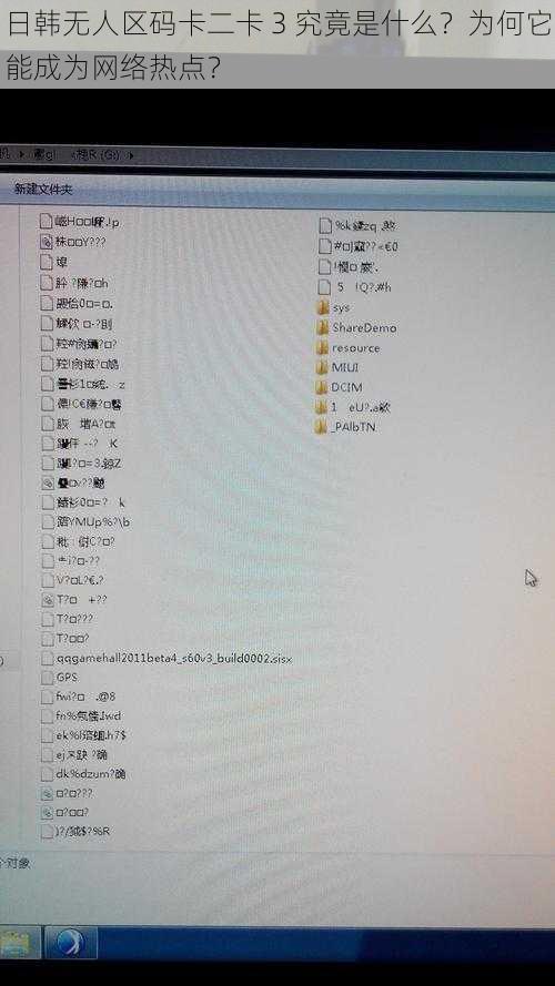 日韩无人区码卡二卡 3 究竟是什么？为何它能成为网络热点？