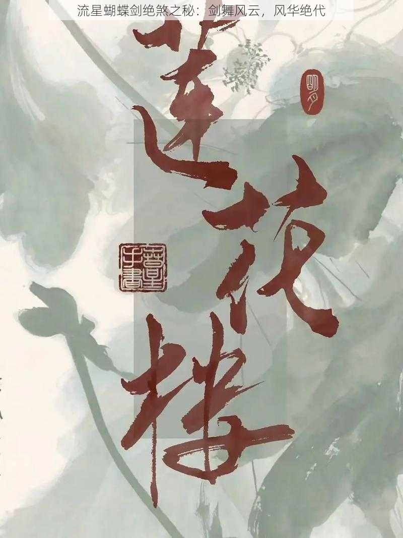 流星蝴蝶剑绝煞之秘：剑舞风云，风华绝代