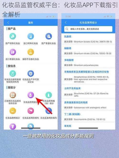 化妆品监管权威平台：化妆品APP下载指引全解析