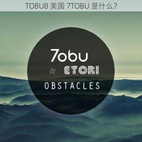 TOBU8 美国 7TOBU 是什么？