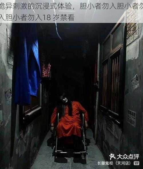 诡异刺激的沉浸式体验，胆小者勿入胆小者勿入胆小者勿入18 岁禁看