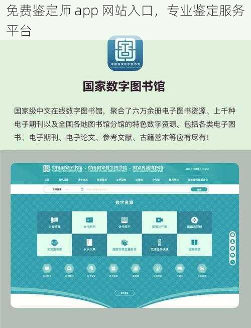 免费鉴定师 app 网站入口，专业鉴定服务平台