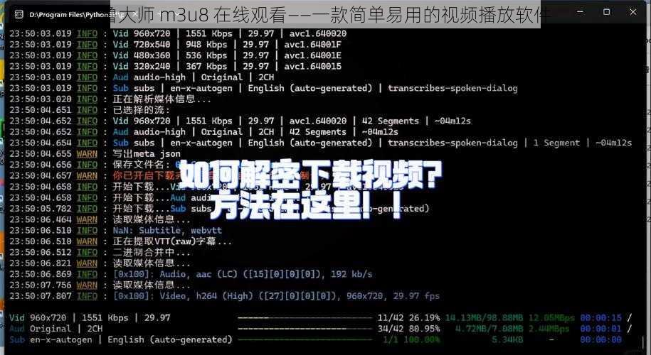 鲁大师 m3u8 在线观看——一款简单易用的视频播放软件