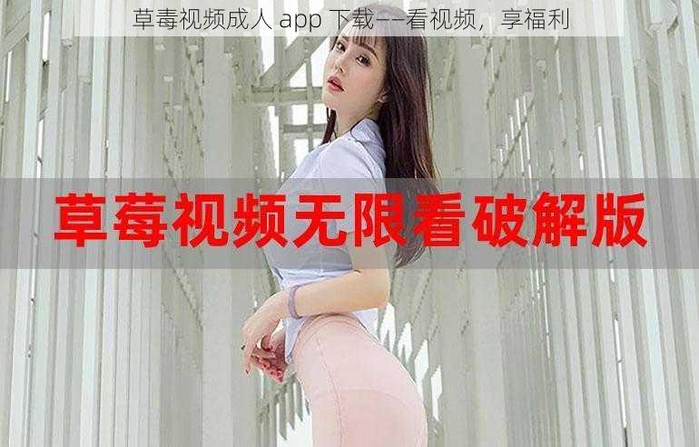 草毒视频成人 app 下载——看视频，享福利