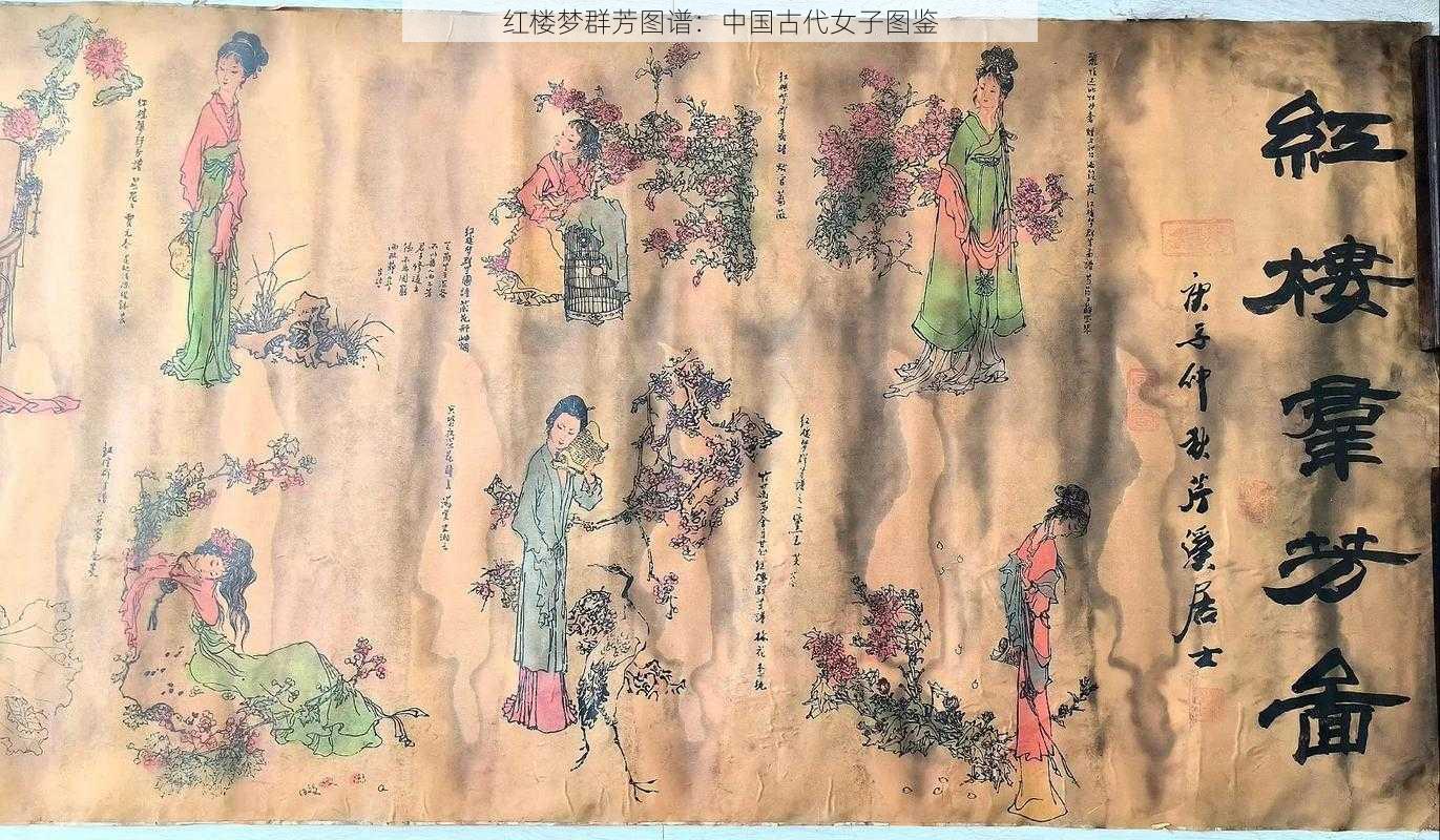 红楼梦群芳图谱：中国古代女子图鉴