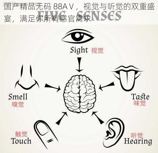 国产精品无码 88AⅤ，视觉与听觉的双重盛宴，满足你所有感官需求