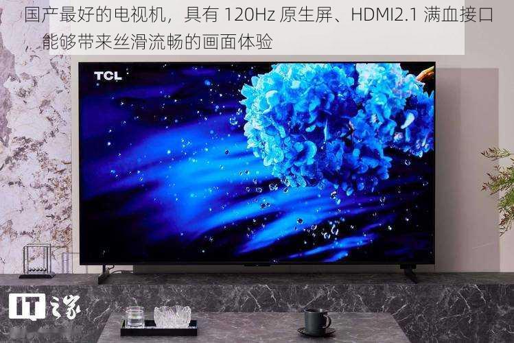 国产最好的电视机，具有 120Hz 原生屏、HDMI2.1 满血接口，能够带来丝滑流畅的画面体验