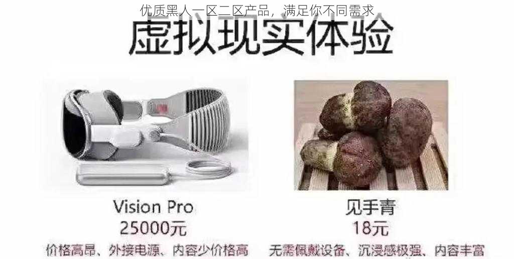 优质黑人一区二区产品，满足你不同需求