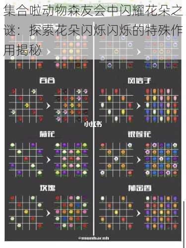 集合啦动物森友会中闪耀花朵之谜：探索花朵闪烁闪烁的特殊作用揭秘