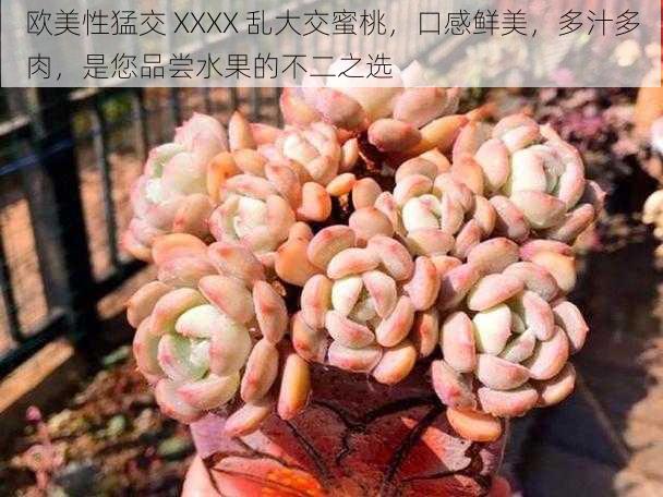 欧美性猛交 XXXX 乱大交蜜桃，口感鲜美，多汁多肉，是您品尝水果的不二之选