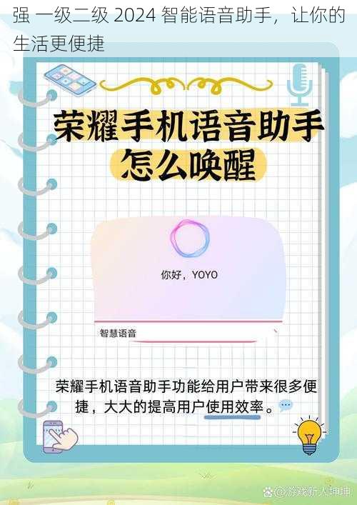 强 一级二级 2024 智能语音助手，让你的生活更便捷