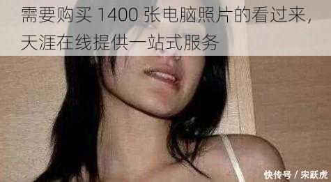 需要购买 1400 张电脑照片的看过来，天涯在线提供一站式服务