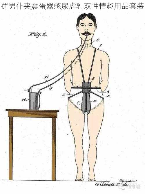 罚男仆夹震蛋器憋尿虐乳双性情趣用品套装