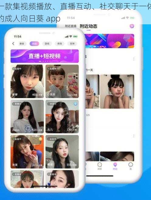 一款集视频播放、直播互动、社交聊天于一体的成人向日葵 app