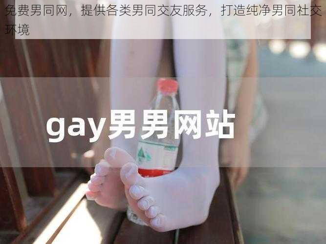 免费男同网，提供各类男同交友服务，打造纯净男同社交环境