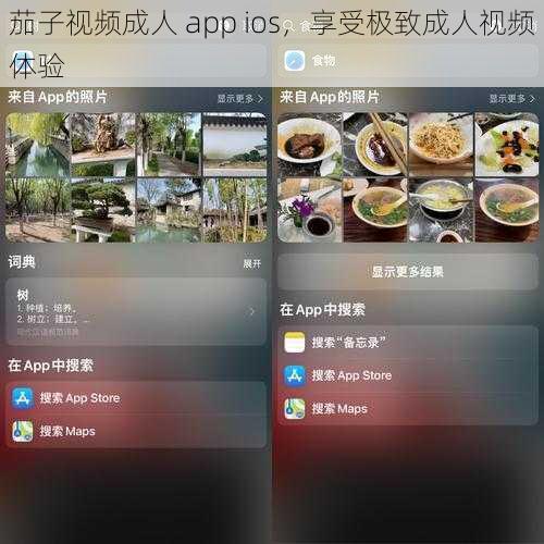 茄子视频成人 app ios，享受极致成人视频体验