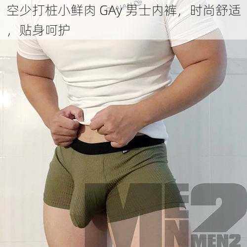 空少打桩小鲜肉 GAy 男士内裤，时尚舒适，贴身呵护