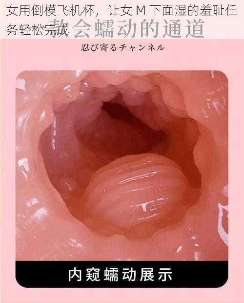 女用倒模飞机杯，让女 M 下面湿的羞耻任务轻松完成