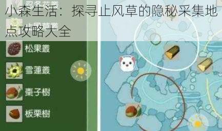 小森生活：探寻止风草的隐秘采集地点攻略大全