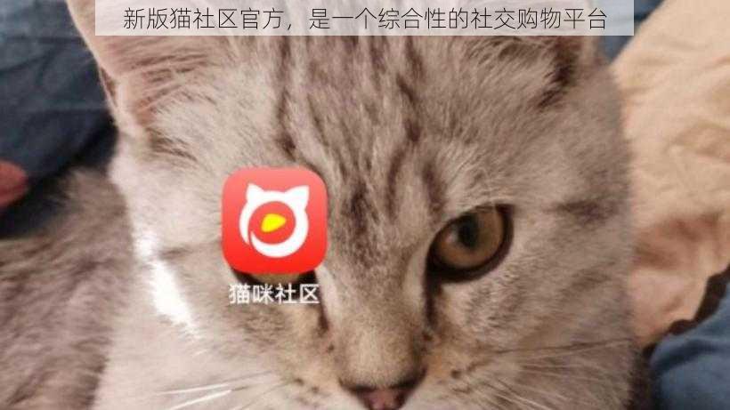 新版猫社区官方，是一个综合性的社交购物平台