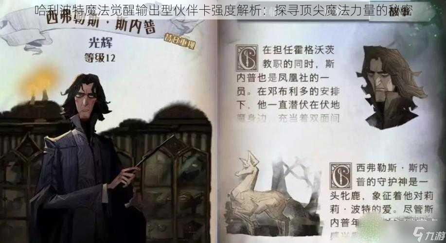 哈利波特魔法觉醒输出型伙伴卡强度解析：探寻顶尖魔法力量的秘密