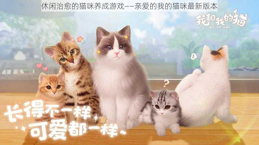 休闲治愈的猫咪养成游戏——亲爱的我的猫咪最新版本