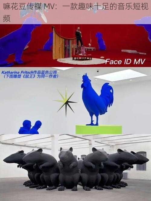 嘛花豆传禖 MV：一款趣味十足的音乐短视频