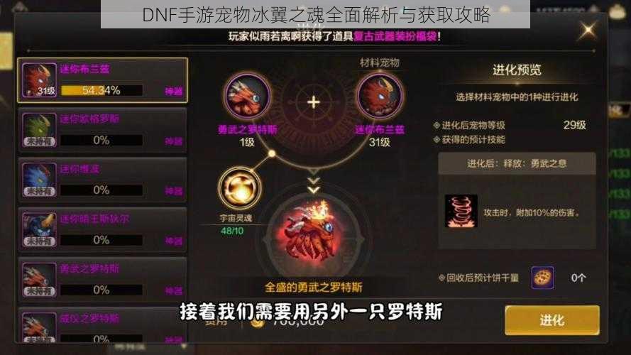 DNF手游宠物冰翼之魂全面解析与获取攻略