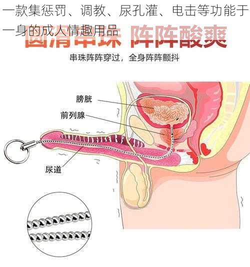 一款集惩罚、调教、尿孔灌、电击等功能于一身的成人情趣用品