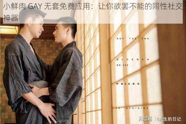 小鲜肉 GAY 无套免费应用：让你欲罢不能的同性社交神器