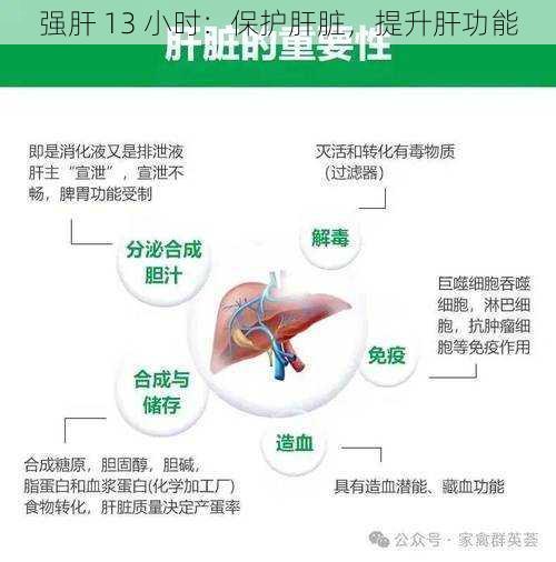 强肝 13 小时：保护肝脏，提升肝功能