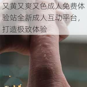 又黄又爽又色成人免费体验站全新成人互动平台，打造极致体验