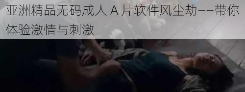 亚洲精品无码成人 A 片软件风尘劫——带你体验激情与刺激